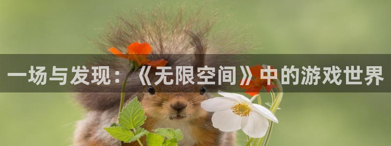 杏悦2平台代理：一场与发现：《无限空间》中的游戏世界