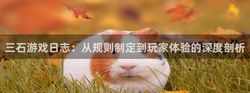 杏悦2娱乐平台注册