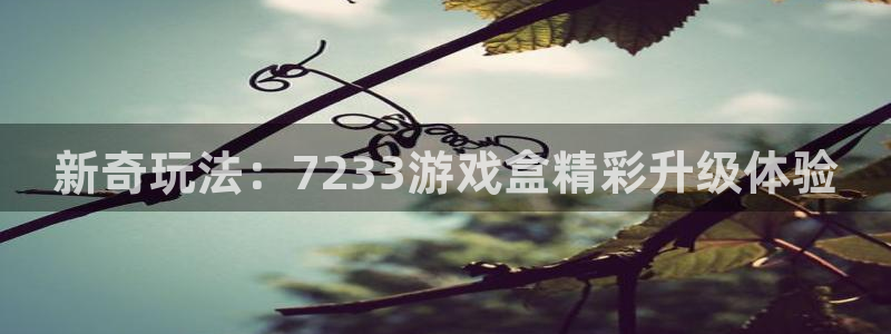 杏悦2注册平台：新奇玩法：7233游戏盒精彩升级体验