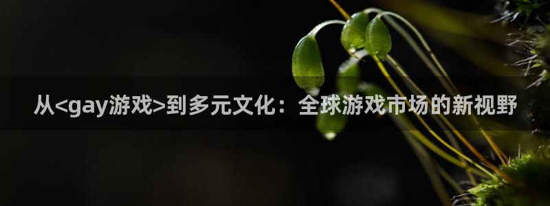 杏悦2老版本下载