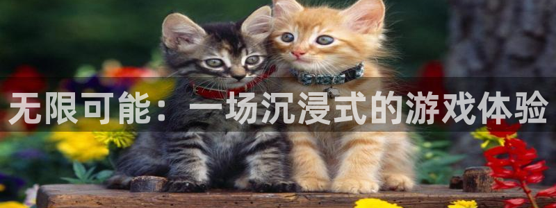 杏悦2平台主管探索无限空间：无限可能：一场沉浸式的游戏体验
