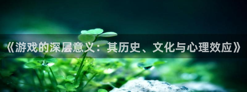 杏悦2测试：《游戏的深层意义：其历史、文化与心理效应》