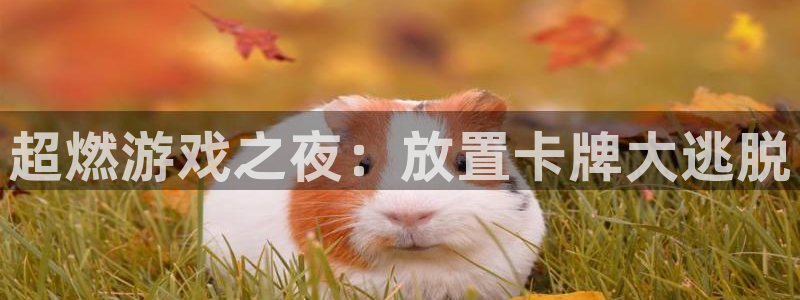 杏悦2平台登录注册