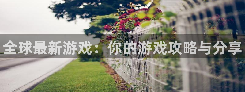 杏悦2注册平台：全球最新游戏：你的游戏攻略与分享