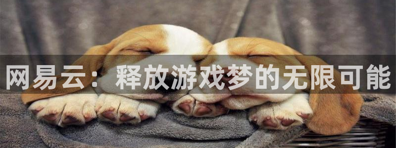 杏悦2官方网站下载：网易云：释放游戏梦的无限可能