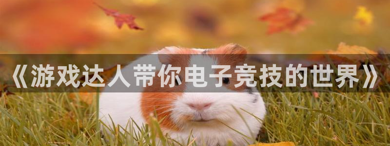 杏悦2官方网站下载