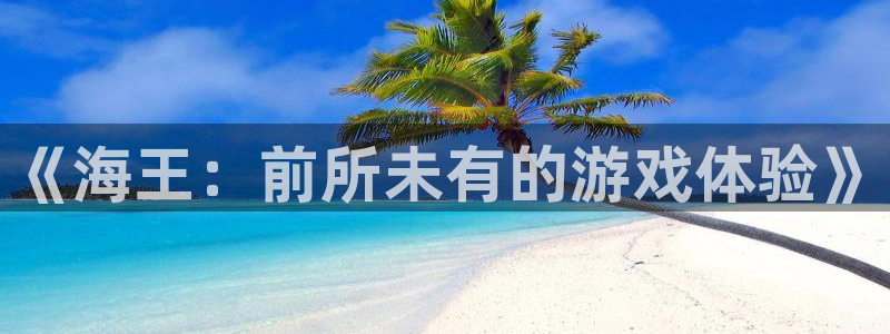 杏悦2主管招商：《海王：前所未有的游戏体验》