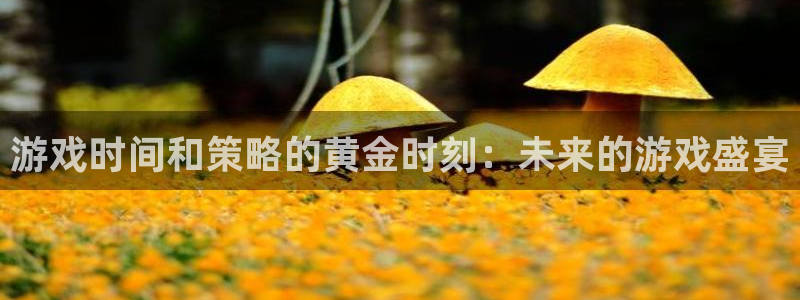 杏悦2娱乐平台注册：游戏时间和策略的黄金时刻：未来的游戏盛宴